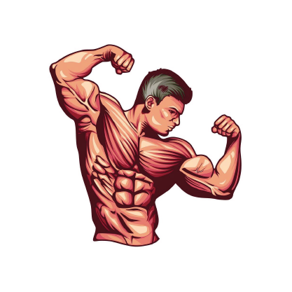 BODY BUILDING